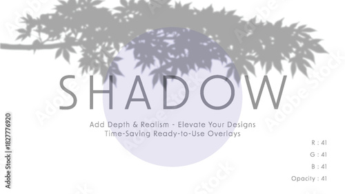 Soft minimalist vector art with maple leaf branch shadow overlay across pale lavender circle and subtle typography promoting shadow design overlays on clean white background
