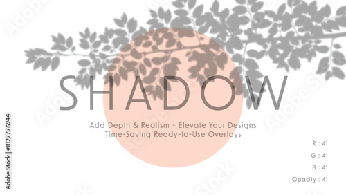 Minimalist vector art with soft gray foliage shadow overlay on pastel peach circle and white background, elegant typography reading shadow in center, calm daylight atmosphere