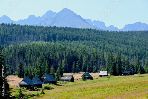 Fototapeta Naklejka Na Ścianę i Meble -  Olczyska Valley, Kopieniec Meadow (polish: Polana Kopieniec) with characterictic wooden cottages. Tatra Mountains, Tatra National Park, Zakopane, Poland