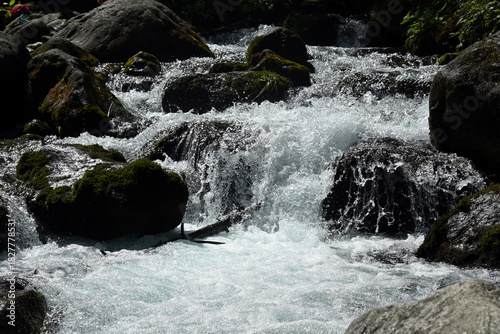 Fototapeta Naklejka Na Ścianę i Meble -  Olczyski Potok – a stream, a tributary of the Zakopianka River. It flows down the Olczyska Valley in the Polish Western Tatras. Tatra National Park, Poland