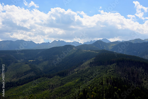 Fototapeta Naklejka Na Ścianę i Meble -  Landscape of the Tatra Mountains in the summer, view from the top of Mount Nosal. Beautiful panorama of the polish mountains, Tatra National Park, Kuznice, Zakopane, Poland