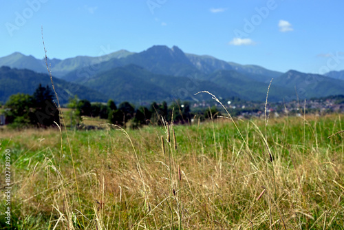 Fototapeta Naklejka Na Ścianę i Meble -  Fantastic view of the Tatra Mountains, located off the beaten track. Tatra Mountains viewpoint near Zakopane - Gawlaki Walkosze street, Poland