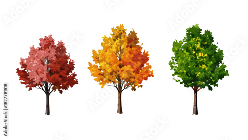Watercolor style illustration of three distinct deciduous trees displaying vibrant red, golden yellow, and lush green foliage, representing seasonal changes.