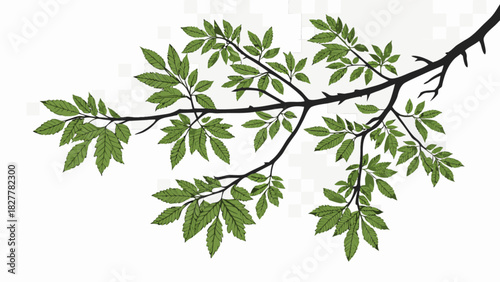 Stylized illustration of a thorny tree branch with fresh green leaves, symbolizing nature, growth, and organic design elements for various projects