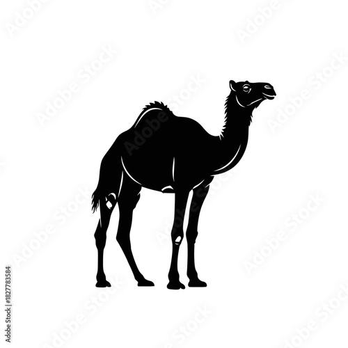 Bold Vector Silhouette of a Dromedary Camel Enduring the Arid Desert