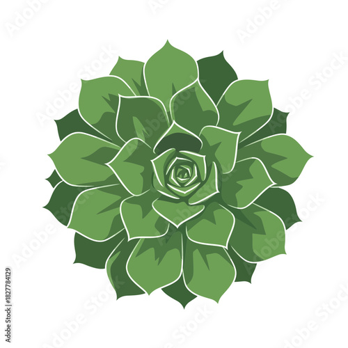 Contemporary Rosette Succulent Plant Silhouette for Modern Garden Branding