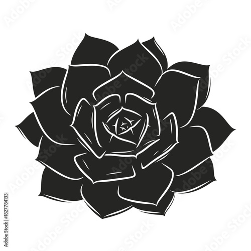Contemporary Rosette Succulent Plant Silhouette for Modern Garden Branding