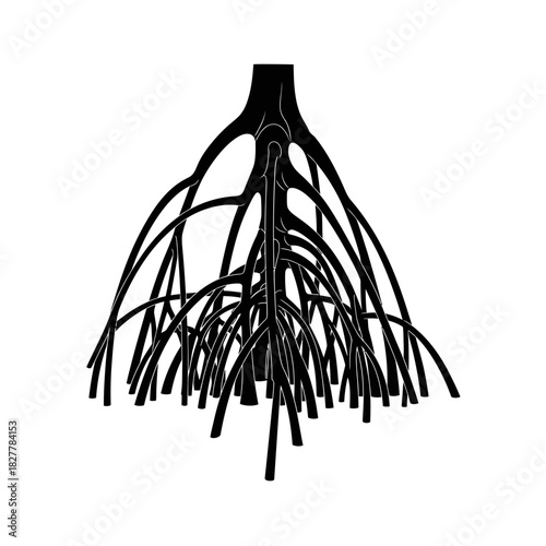 Contour Art Black Silhouette of Mangrove Roots Intertwined at Waterline