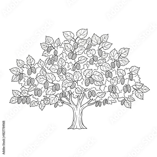 Contour Art Silhouette of a Sprawling Mulberry Tree with Irregular Fruits