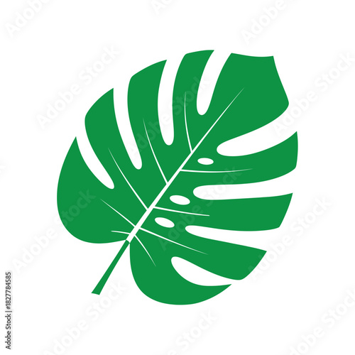 Iconic Monstera Leaf Silhouette for Trendy Interior Design and Tropical Branding