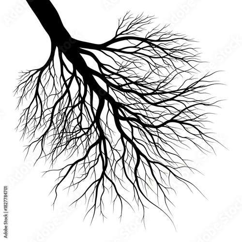 Modern Symbolic Black Silhouette of Roots as an Interconnected Life Network