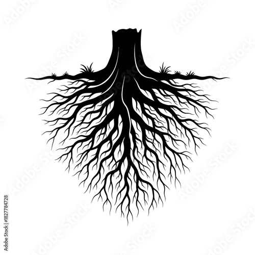 Naturalistic Black Silhouette of Deep Gnarled Tree Roots Embodying Resilience