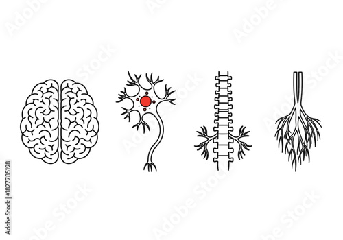 A collection of line art icons representing the human nervous system, including the brain, a neuron, the spinal cord, and nerve endings