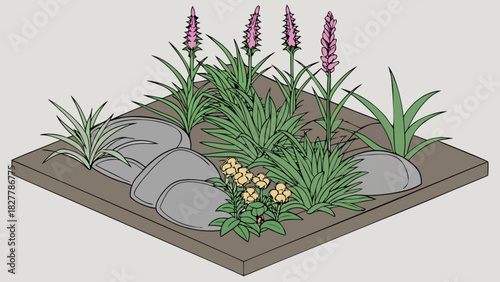 Isometric vector illustration of a garden design with green plants, pink spiky flowers, yellow blossoms, and smooth grey rocks on a soil plot