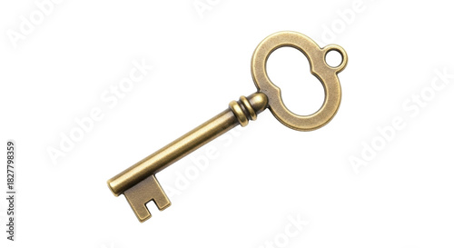 Cuadro en lienzo Isolated antique key, old-fashioned gold metal skeleton key for lock, treasure,