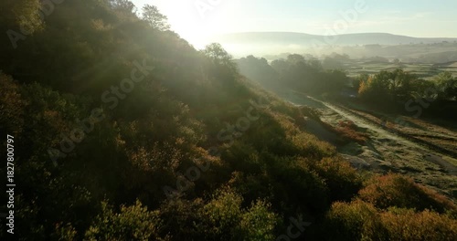 Sunrise over a forest and misty valley
