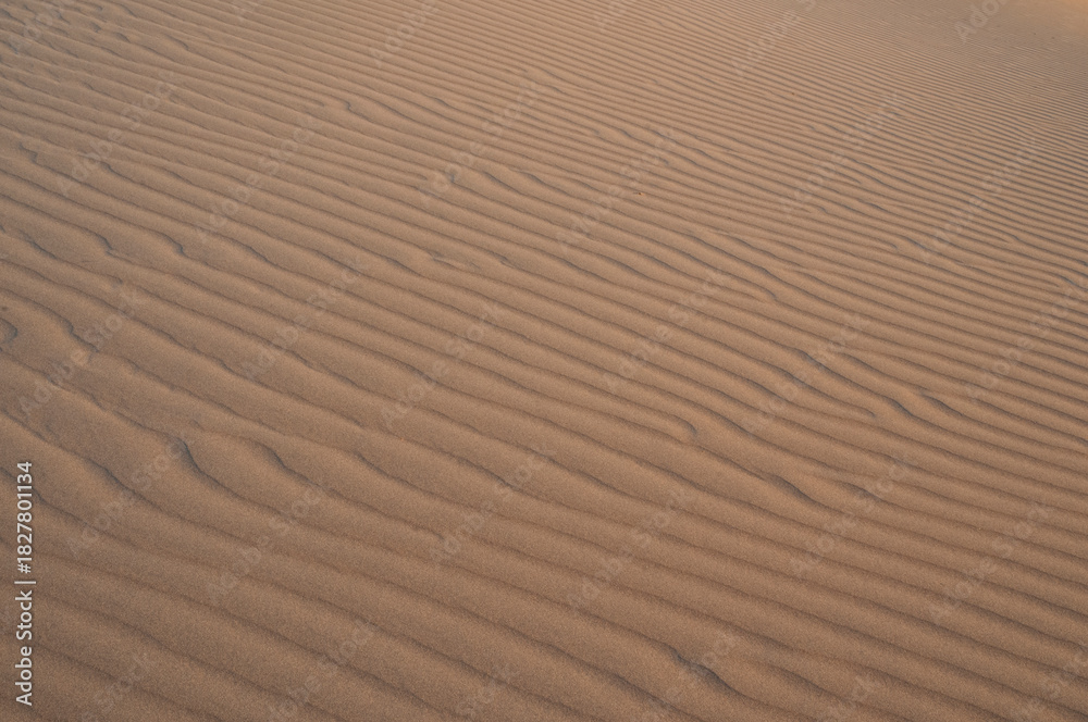 Obraz premium Natural designs and shapes in the sand, caused by the wind.
