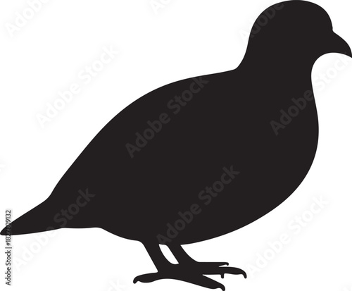 Black silhouette of a quail or partridge bird standing isolated on a white background