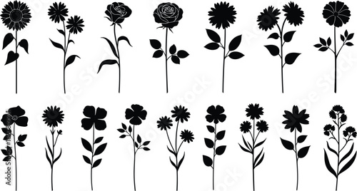 Here are 45 keywords, broken down by length, and then combined into a single, comma-separated line for easy pasting into Adobe Stock.