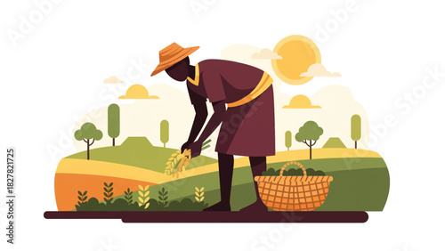 African farmer harvesting fresh crops in a field. Ideal for agricultural lifestyle, farming culture, subsistence work, and rural livelihood visuals