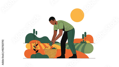 African farmer harvesting fresh crops in a field. Ideal for agricultural lifestyle, farming culture, subsistence work, and rural livelihood visuals