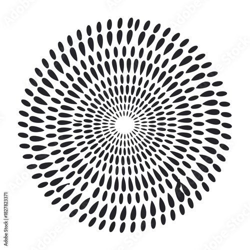 Black abstract radial pattern of teardrop shapes forming a circular burst vector illustration