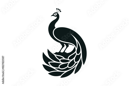 Silhouette of a peacock with its tail fanned out in a decorative pattern on a white background Keywords: peacock, bird, silhouette, animal