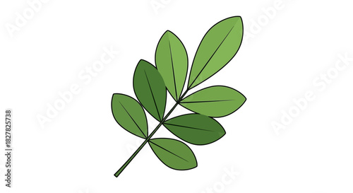 A simple, clean illustration of a green plant sprig with pinnately arranged leaves isolated on a white background.