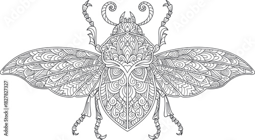 Intricate beetle illustration with detailed mandala patterns, perfect for adult coloring books