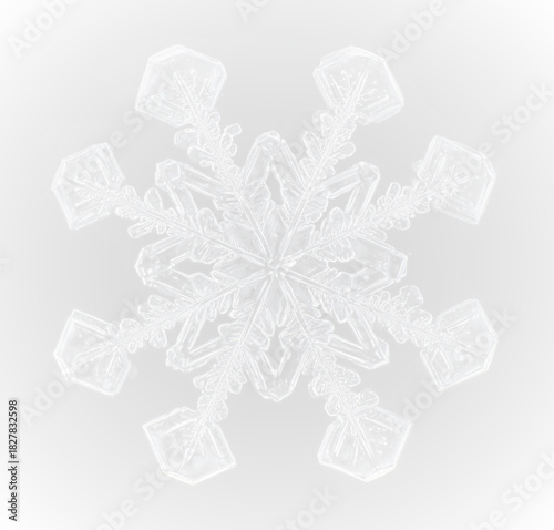 Frozen snowflake ice winter frost cold frame border white transparent decoration pattern.
