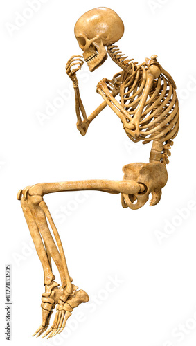 3D Rendering Human Skeleton on White