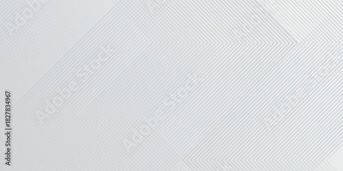 Texture gray and white abstract background modern vector modern