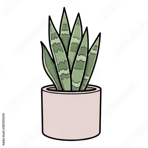 Bring a touch of nature indoors with this delightful snake plant in a pot, perfect for adding a calming vibe to any space and easy to care for