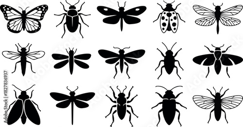 Collection of fifteen black insect silhouettes including butterflies dragonflies ladybugs and beetles