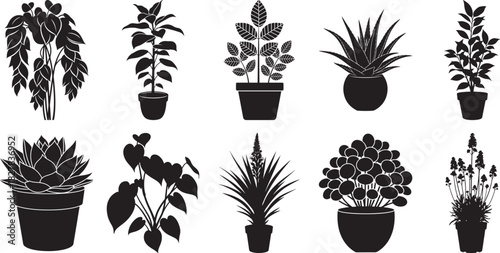 Indoor house plant silhouette vector set featuring decorative potted foliage for modern interior design