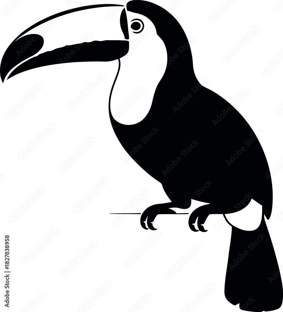 Naklejka premium Black toucan perched on branch bird white