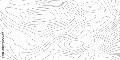 Abstract White wave paper curved reliefs abstract background, Abstract topographic contours map background, Topography map background. Vector geographic contour map. 