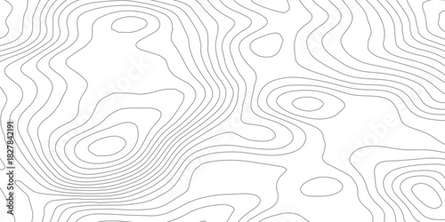 Abstract White wave paper curved reliefs abstract background, Abstract topographic contours map background, Topography map background. Vector geographic contour map. 