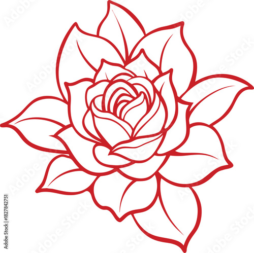 Red Rose Outline Graphic flower drawing