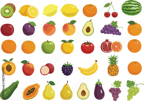 Cartoon fruit collection, colorful grid illustration, tropical and exotic fruits, educational design, healthy food drawing, vector art, nature elements