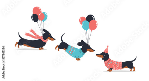 Three festive dachshund dogs in charming outfits with balloons including a scarf a sweater and a party hat celebrate cheerfully.