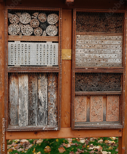 House for insects