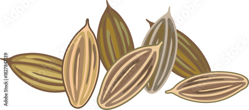 Seeds of carrot on white background