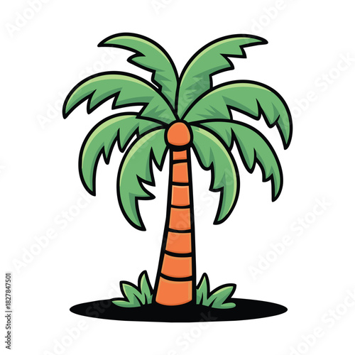 Exotic Palm Tree on White Background