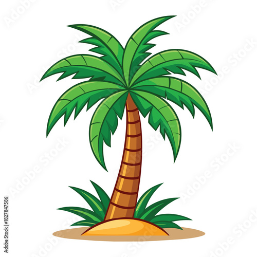 Exotic Palm Tree on White Background