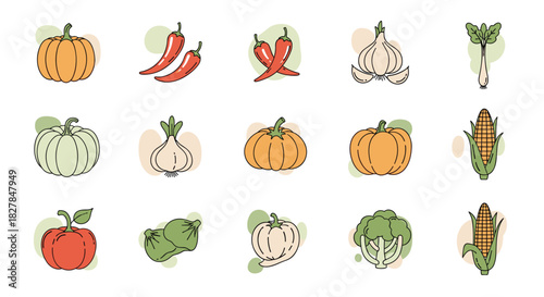Colorful set of assorted fresh vegetable icons including pumpkins chili peppers and corn in a modern flat outline vector style.