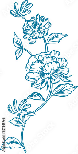 Peony Flower Line Art Illustration
