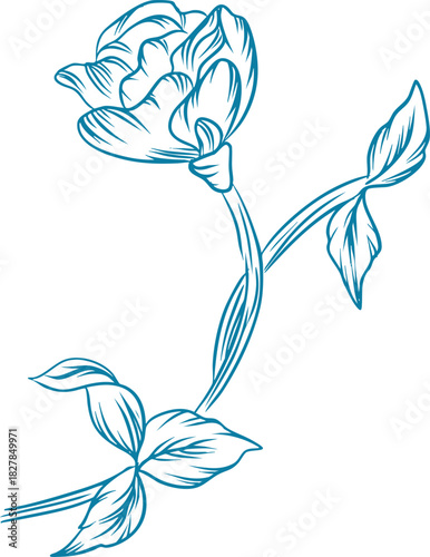 Peony Flower Bouquet Line Art Illustration
