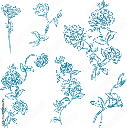 Peony Flower Line Art Set – Hand-Drawn Botanical Floral Illustrations
