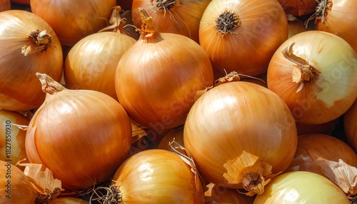A close-up shot fills the frame with a bounty of light brown and yellow onions, some with their papery skins peeling, creating a textured, rustic display of fresh produce.